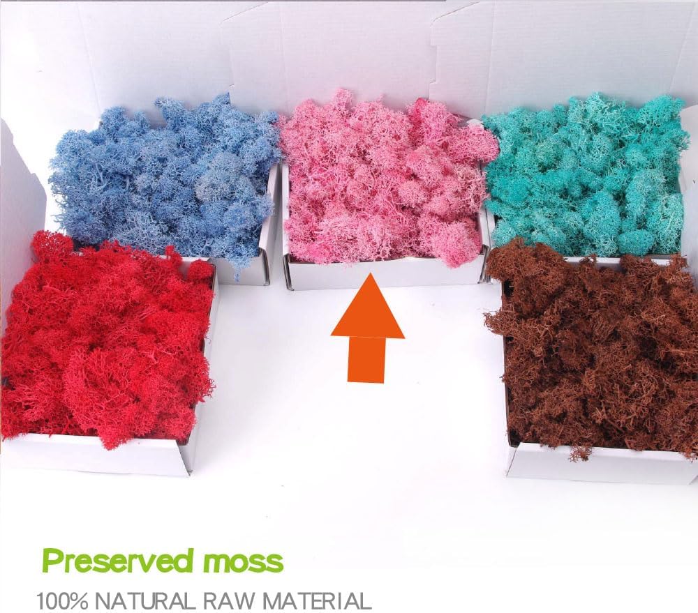 Preserved Moss-3.5 OZ Moss for Crafts Faux Moss Decor Natural Green Moss for Art Wall Florist Decor, Fairy Gardens, Wedding, Floral Project(Light Pink 3.5 OZ)