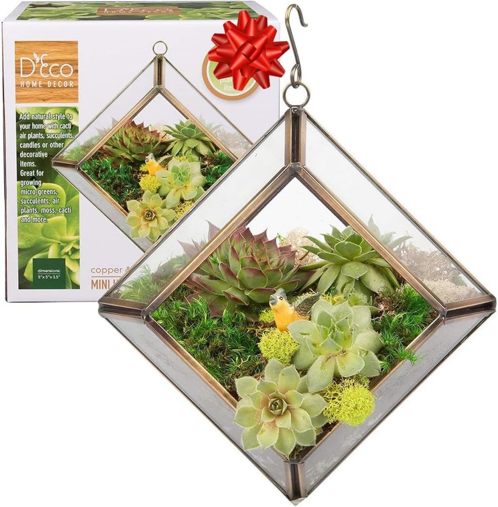 D'Eco Glass Mini Diamond Display (5x5x3.5) - Tabletop or Hanging Planter Terrarium for Home Decor - Fill w/Succulents, Holiday Decorations, Mini Trees & Ornaments - Xmas Gift for Plant Lovers