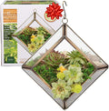 D'Eco Glass Mini Diamond Display (5x5x3.5) - Tabletop or Hanging Planter Terrarium for Home Decor - Fill w/Succulents, Holiday Decorations, Mini Trees & Ornaments - Xmas Gift for Plant Lovers