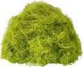 KEYUSHOP Fake Green Moss for Potted Plants 5.3 OZ Preserved Reindeer Moss Craft Decorative Artificial Moss for DIY Decorative Moss Table Centerpieces Decor Wall Art