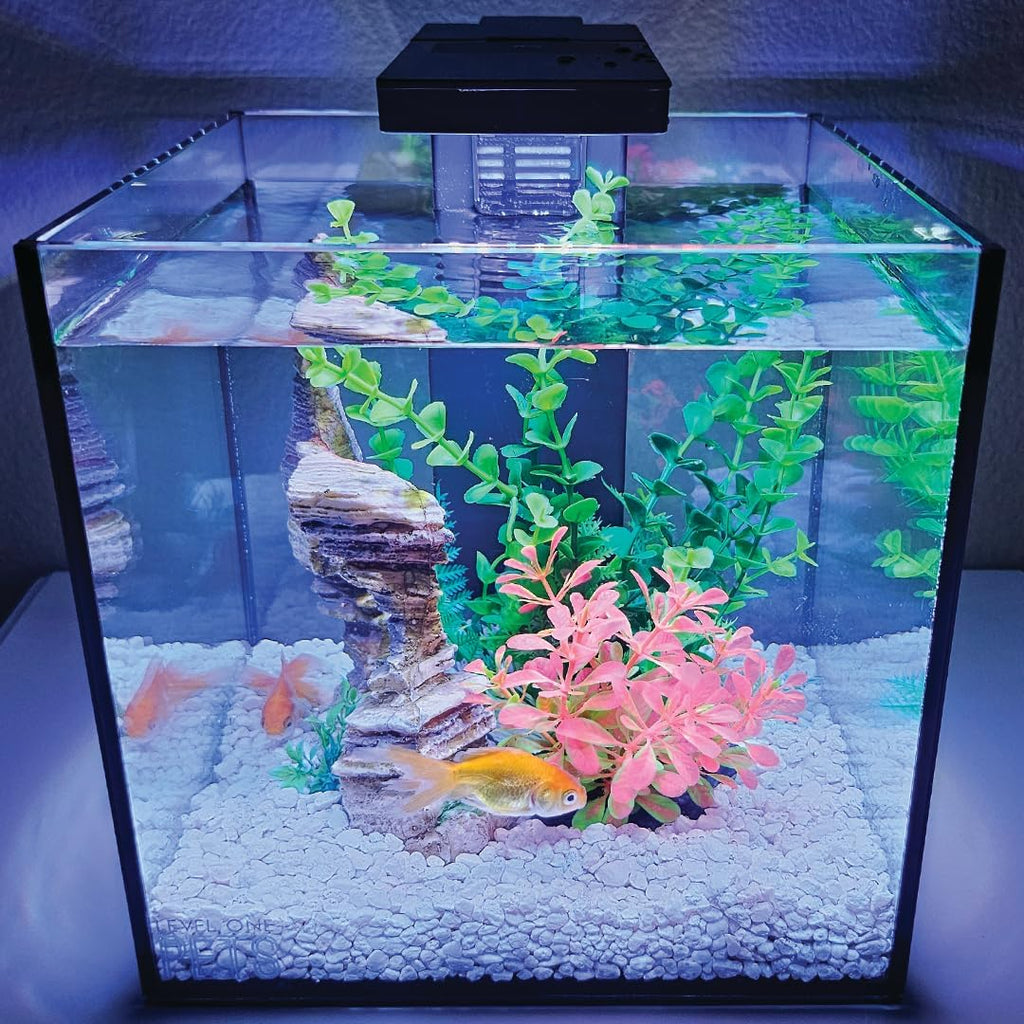 Level One Pets 3 Gallon Mini Betta, Small Fish Aquarium Kit - Includes Duo 2 in 1 Submersible Filter with LED Light