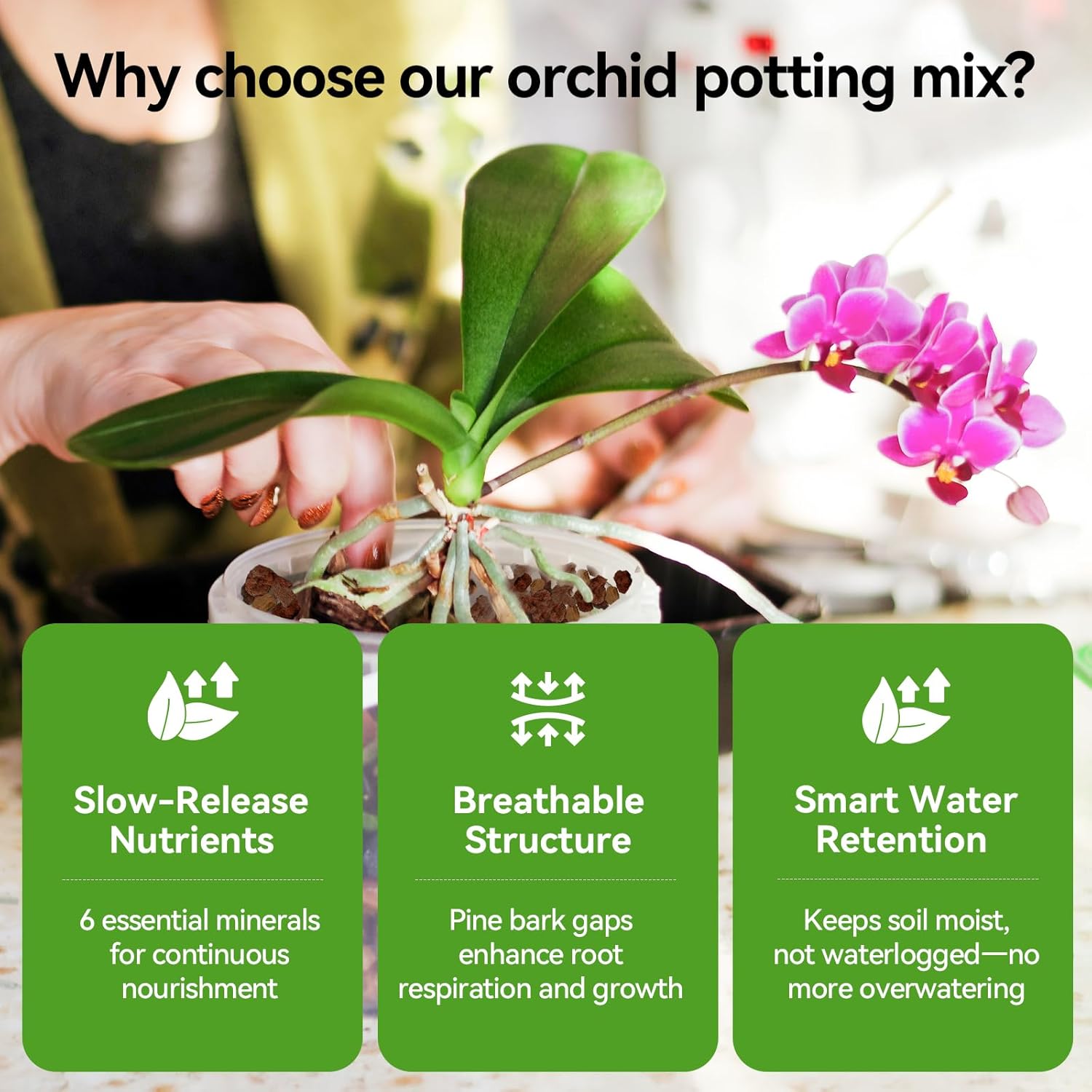 Orchid Bark Potting Mix with Pine Bark and Perlite, Fast Draining Orchid Soil for Healthy Roots, Ideal for Repotting Orchid and Orchid Bark for Indoor Plants (6 Quarts)