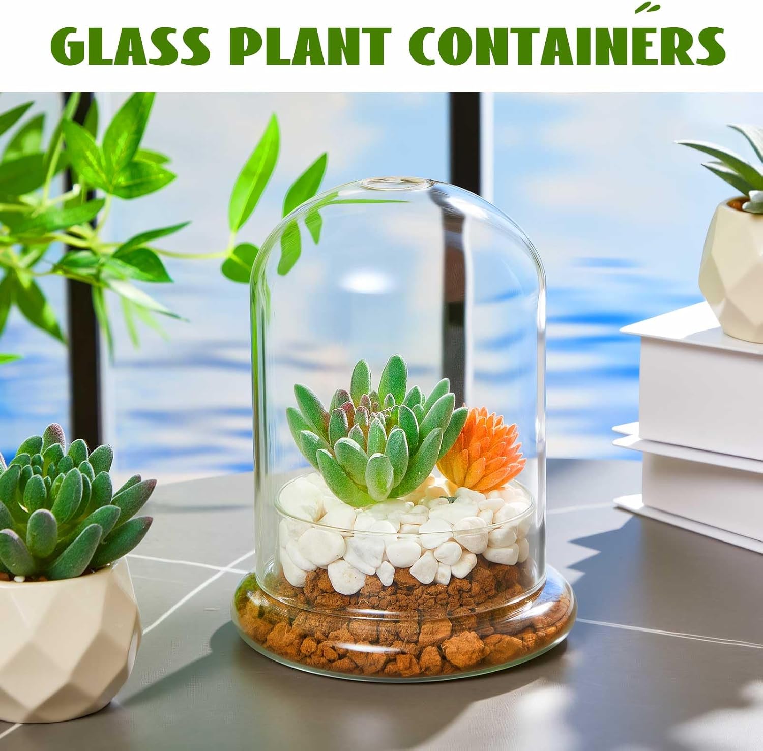 2 Pcs 4.7 x 6.3 Inch Glass Terrarium Clear Terrarium Planter Container Glass Dome Cloche with Airhole and Base for Plant Flower Home Tabletop Display Centerpiece, Plants Not Included