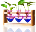 Nacome Plant Terrarium Propagation Stations: Christmas Gifts for Plant Lovers Women Mom Wife - Wooden Stand Tabletop Planter 3 Bulb Glass Vase Heart Shaped for Hydroponics Indoor Home Decor(Purple)