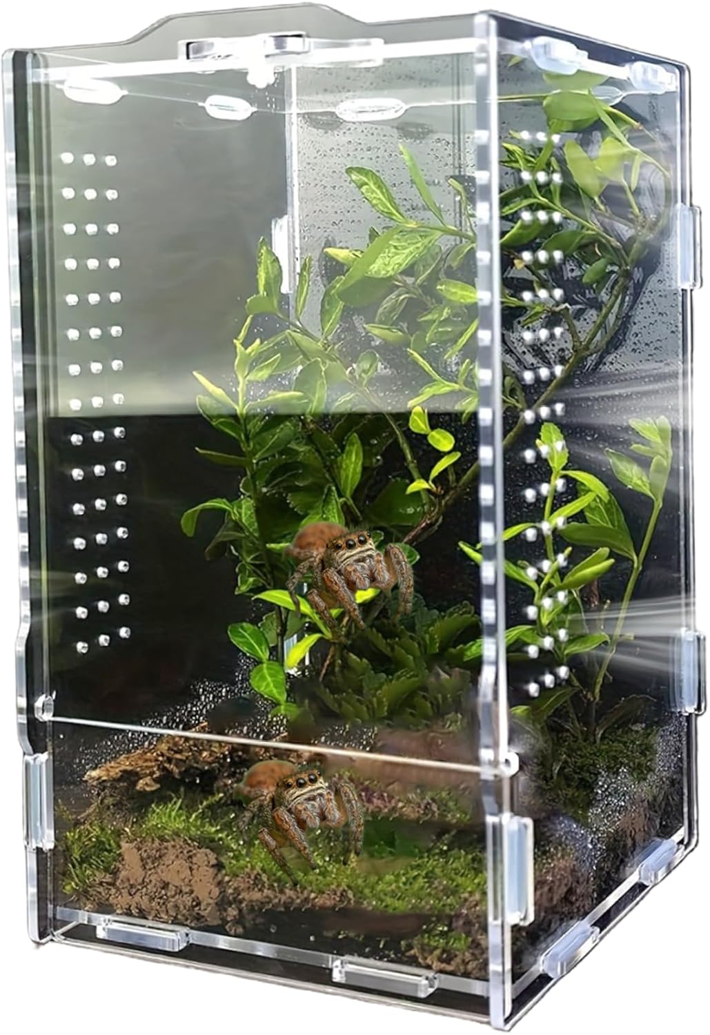 Jumping Spider Habitat Enclosure Spider Terrarium Transparent Amphibian Acrylic Enclosure Box for Spiders, Arthropods, Amphibians