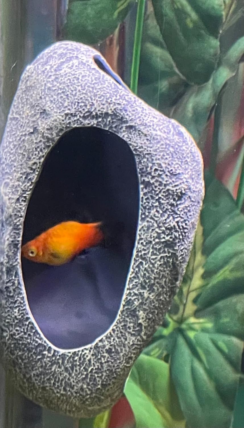 Aquarium Decor Magnetic Rock Cave Ornament – Wall-Mounted Fish Tank Accessory