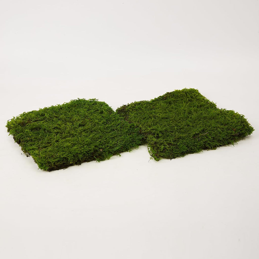 Preserved Sheet Moss Natural Green Decorative Real Natural Green DIY Kit Gardenning Art Wall Decor Florist Decor Easter Table Decor Wedding 2 sq.ft.Green-B
