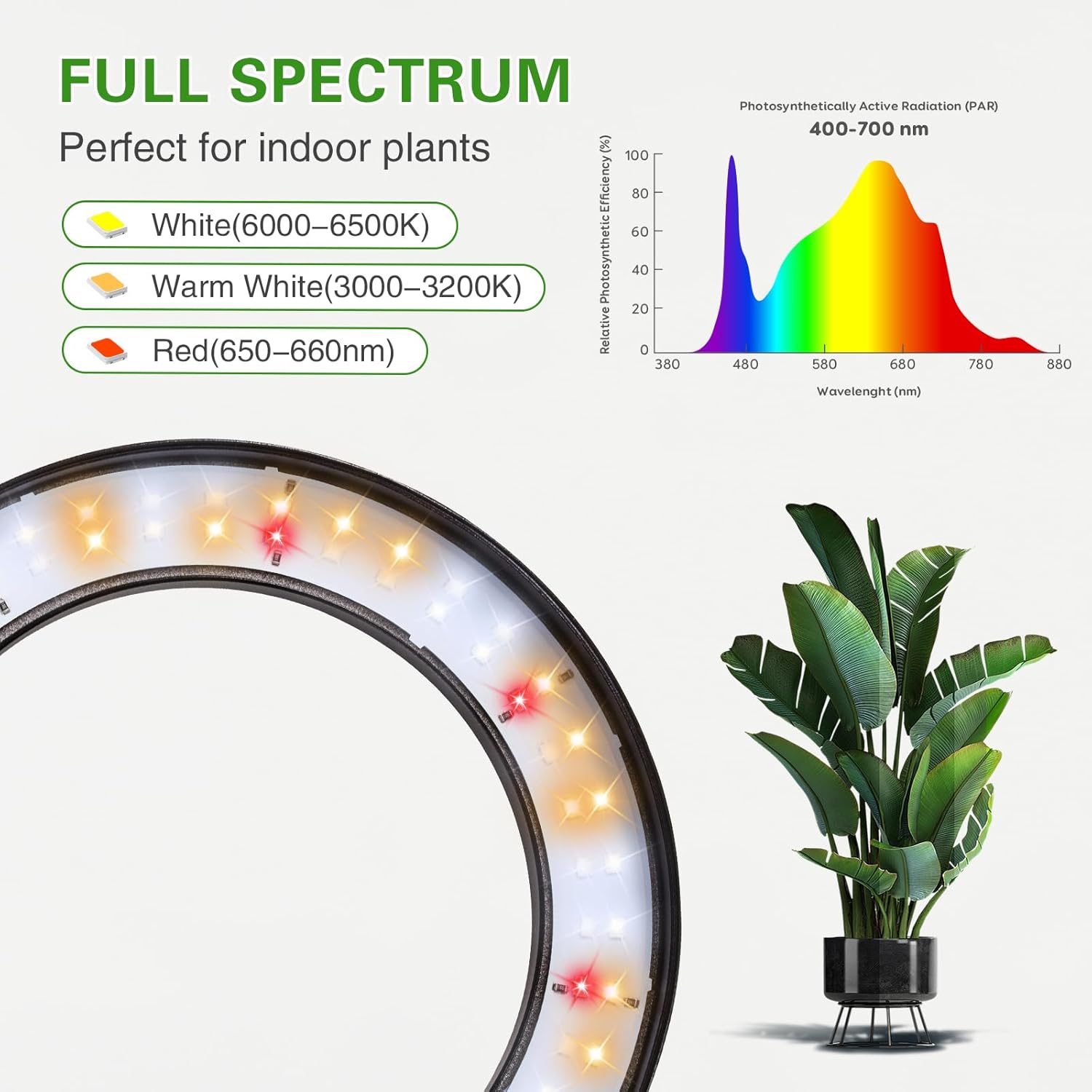 Full Spectrum Grow Light with Stand for Indoor Plants, Floor Plant Light, 3/9/12H Timer, 3 Color Modes, Adjustable Height 16.5–67in, for Large Plants & Home Décor(1 Head)