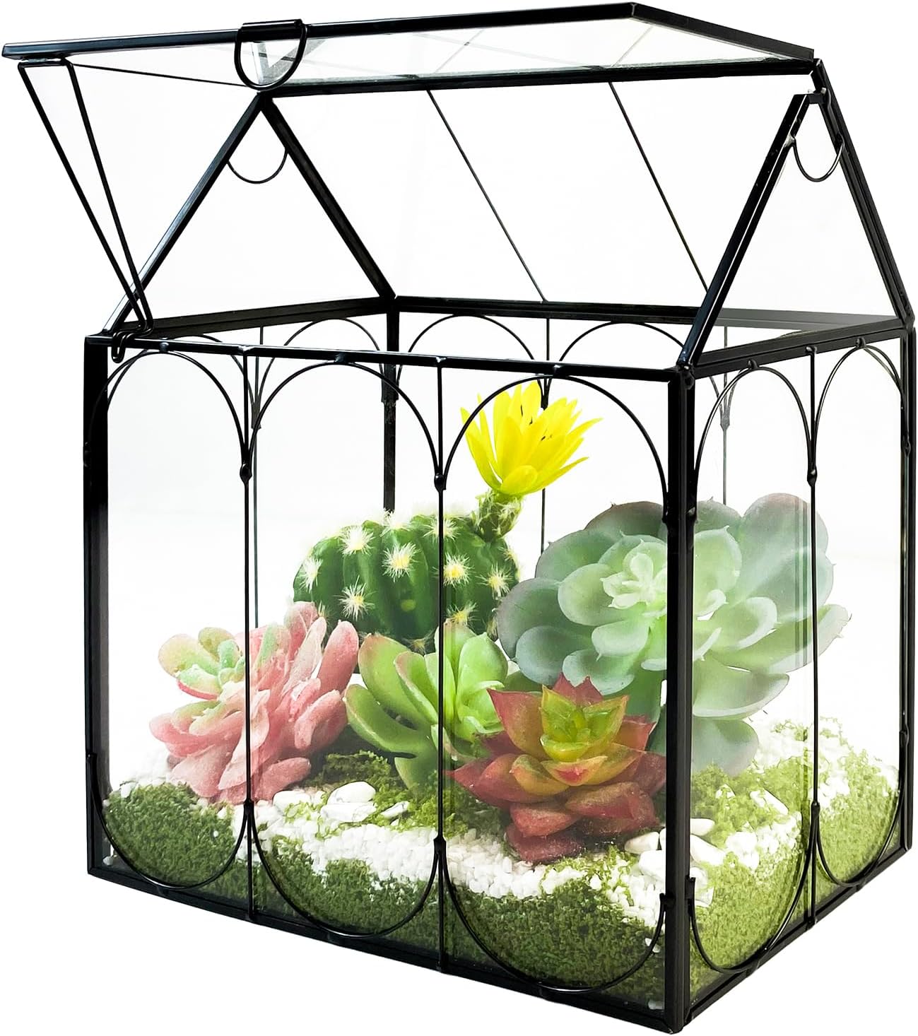 Plant Terrarium Kit, Rifny Large Glass Terrarium Jar with Absorbent Mat for Venus Fly Trap Succulent Live Air Plants Indoor Home Office Decor (Black, 8.9 x 5.9 x 9.9 inch, Without Plant Light)
