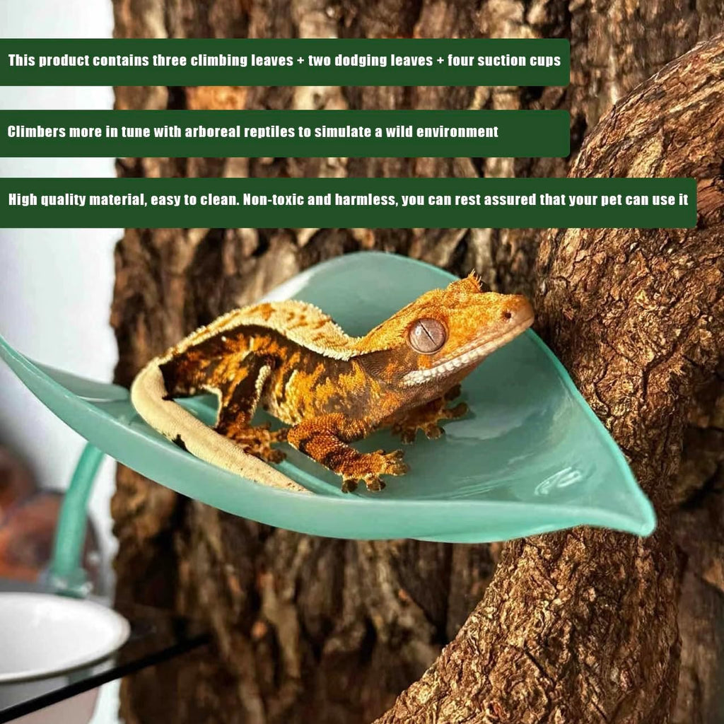 Crested Gecko Tank Accessories，3PCS,Reptile Branches，crestedgecko Hide，Gecko Wall Climbing Toy，Frog Habitat Platform，Tree Frog ，Reptile Leaf，Snake Accessories for Tank