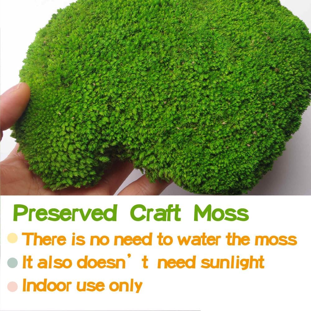 2 sq.ft Preserved Moss for Wall Decor Table Decor for DIY Bowl of Pole Moss Pillow Moss Natural Green (Moss Green -2.0sq.ft)