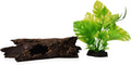 Reptile Hide 10.5 Inch Natural Looking Driftwood Aquarium Decor | Hideout for Amphibians, Bearded Dragons, Geckos, Lizards & Fish | Hollow Log with Life-Like 7" Monstera Plant | Terrarium & Tank Decor