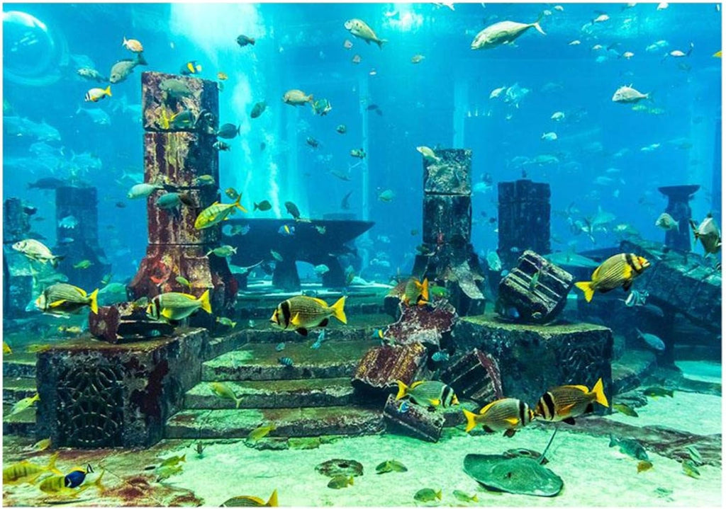 Aquarium Poster, Underwater City Ruins Background Sticker Thicken PVC Adhesive Backdrop Fish Decorative Paper(61×41cm)