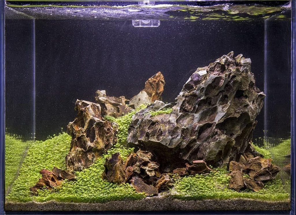 SubstrateSource Natural Aquarium Stones - Ohko w/Mixed Reds, Yellows & Browns, Scale-Like Texture - Freshwater Aquascaping, Betta Fish & Shrimp Tank Decorations, Zen Garden Layouts - Dragon, 16 LB
