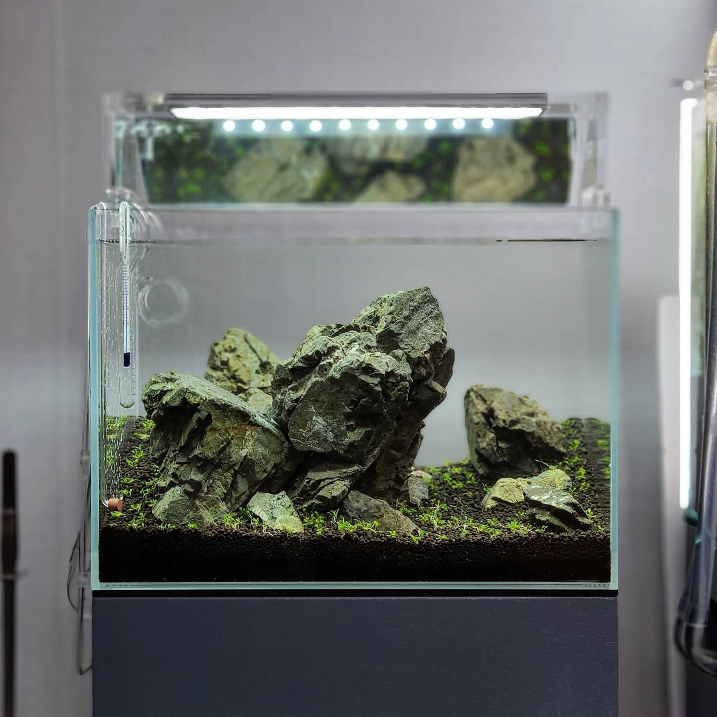 SubstrateSource Natural Stone for Aquarium, Terrarium, Paludarium, Reptile Enclosures - Set of Decorative Rocks for Landcapes, Aquascaping, Fish Tank Decor (Manten Stone, 30 Pounds, 2-8")