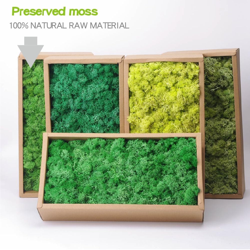 Preserved Reindeer Craft Moss-17.6oz Natural Green DIY Kit Gardenning Art Wall Florist Moss Terrariums Gardenning Decor Landscape Garden Decor(Green 17.6 OZ)