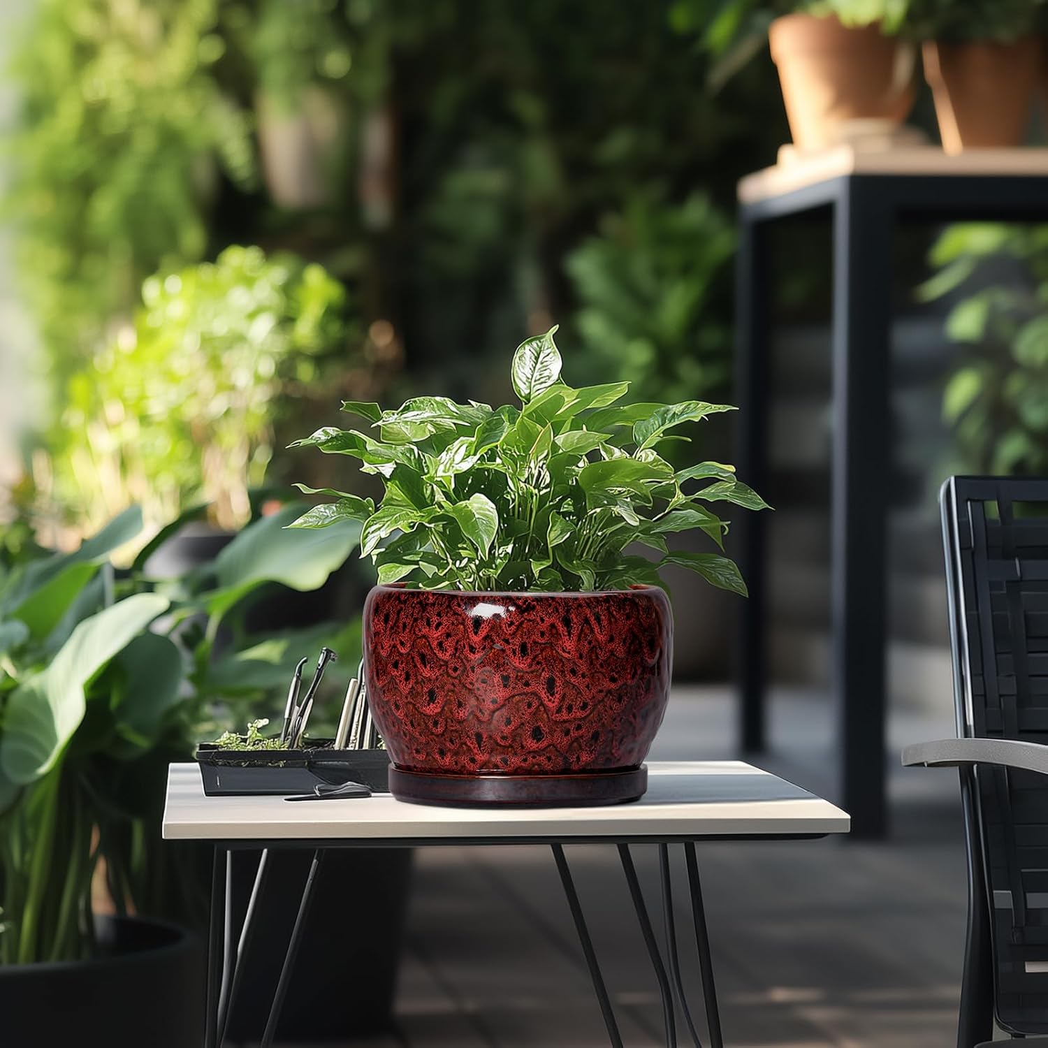 SQOWL Ceramic Plant Pots - 8 inch Planter with Drainage Hole and Tray, Round Ceramic Planter for Indoor Outdoor, Modern Decorative Flower Pot, Home Room House Decor, Plant Lovers Gifts, Red