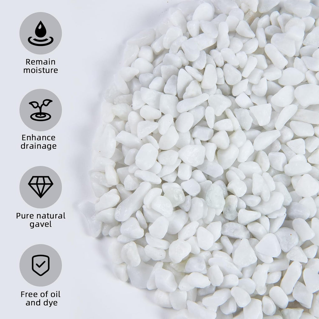 5lb River Rocks Polished Silica Gravel for Plants Garden, Decorative Pebbles Ideal for Fish Tank, Vases, Succulents, Crafting, Home Decor and Garden Landscaping, Snow White(0.2-0.3”)