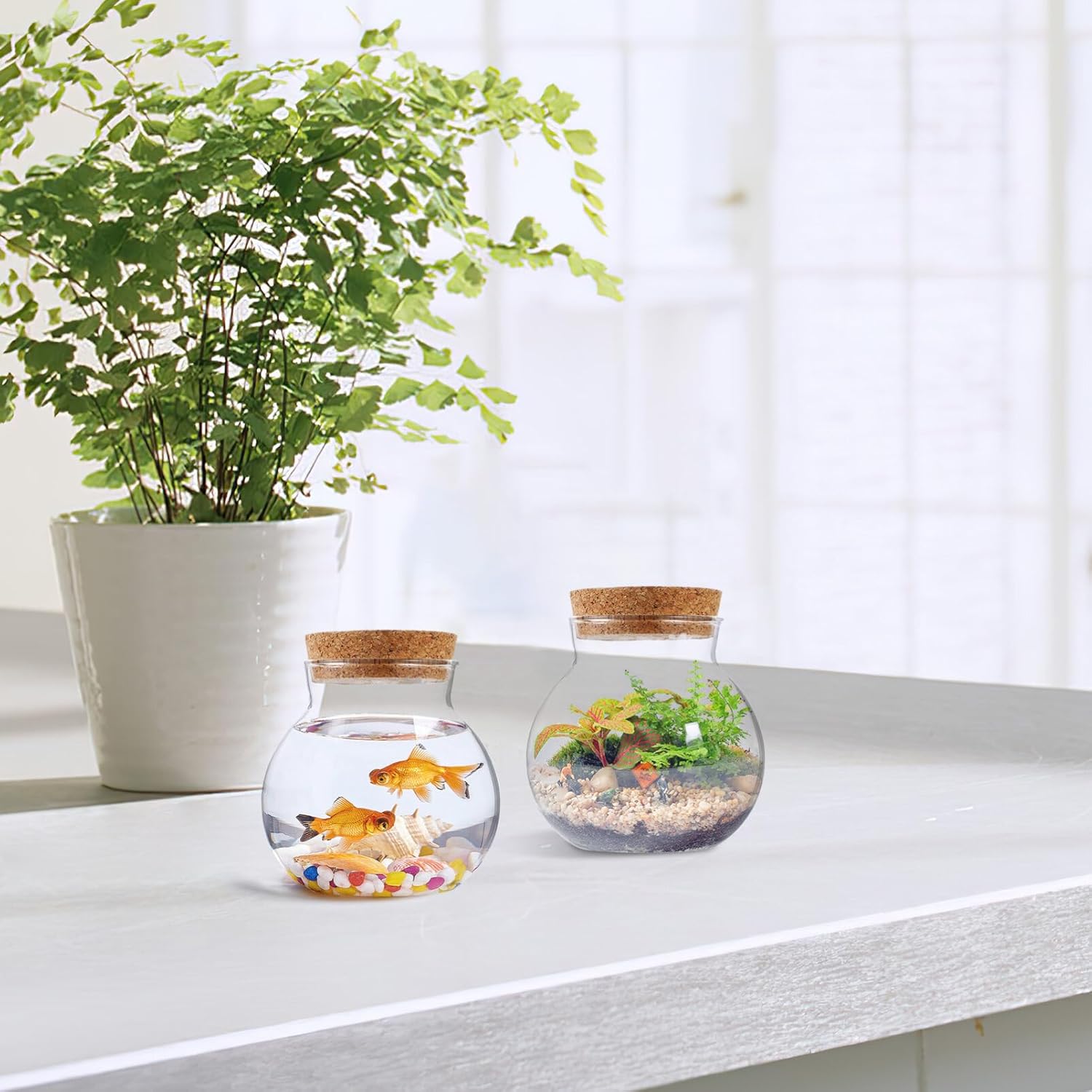 2pcs Round Glass Jar Terrarium Container Ball Succulent Plant Terrarium Buds Vases Easter Candy Jar Message Wishes Bottle with Cork Lid for Plant 10x11cm