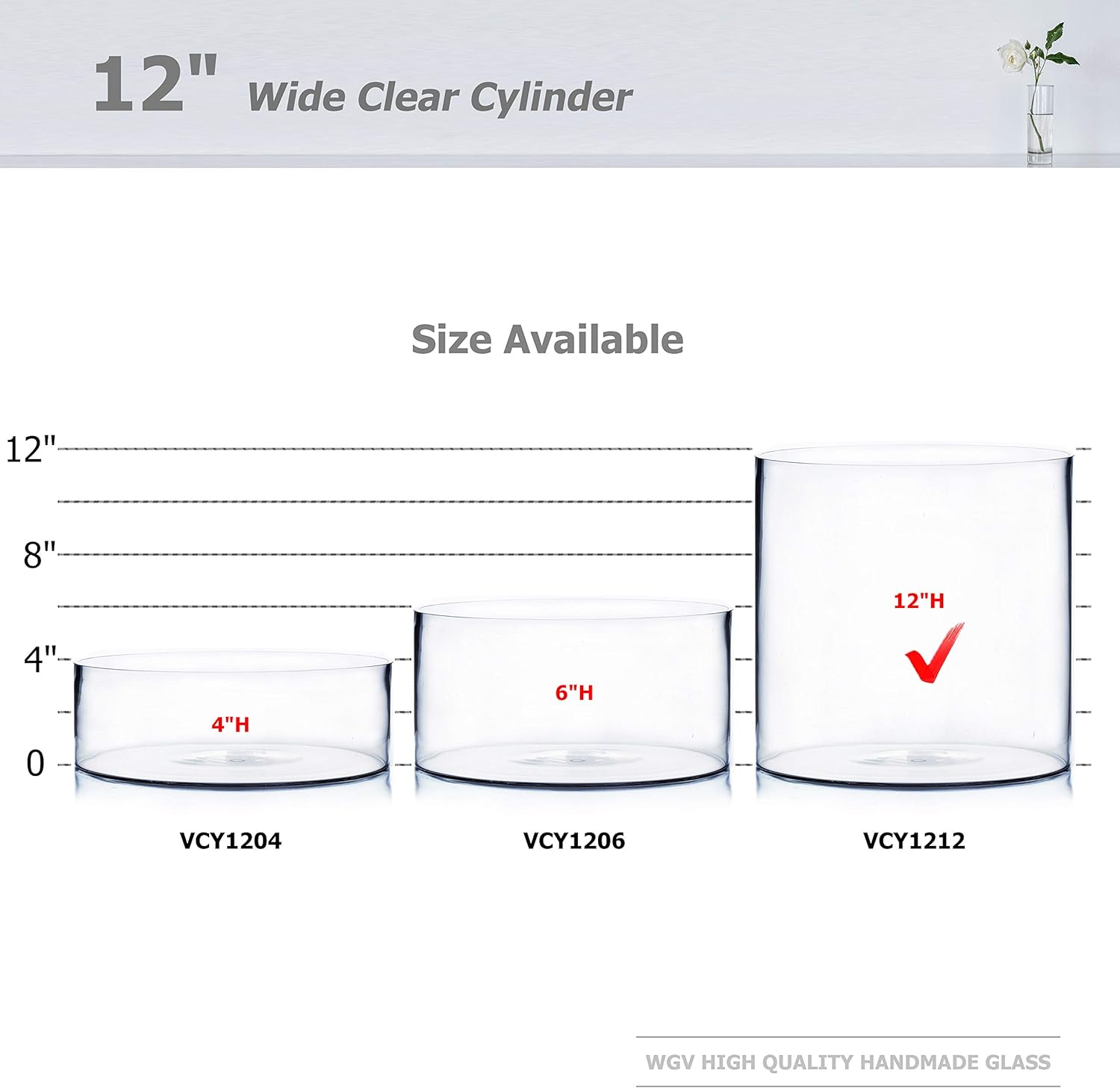 WGV Cylinder Vase, Width 12", Height 12", Clear Wide Large Diameter Flower Glassware, Floral Container, Planter Terrarium for Wedding Party Event, Home Accent Decor, 1 Piece
