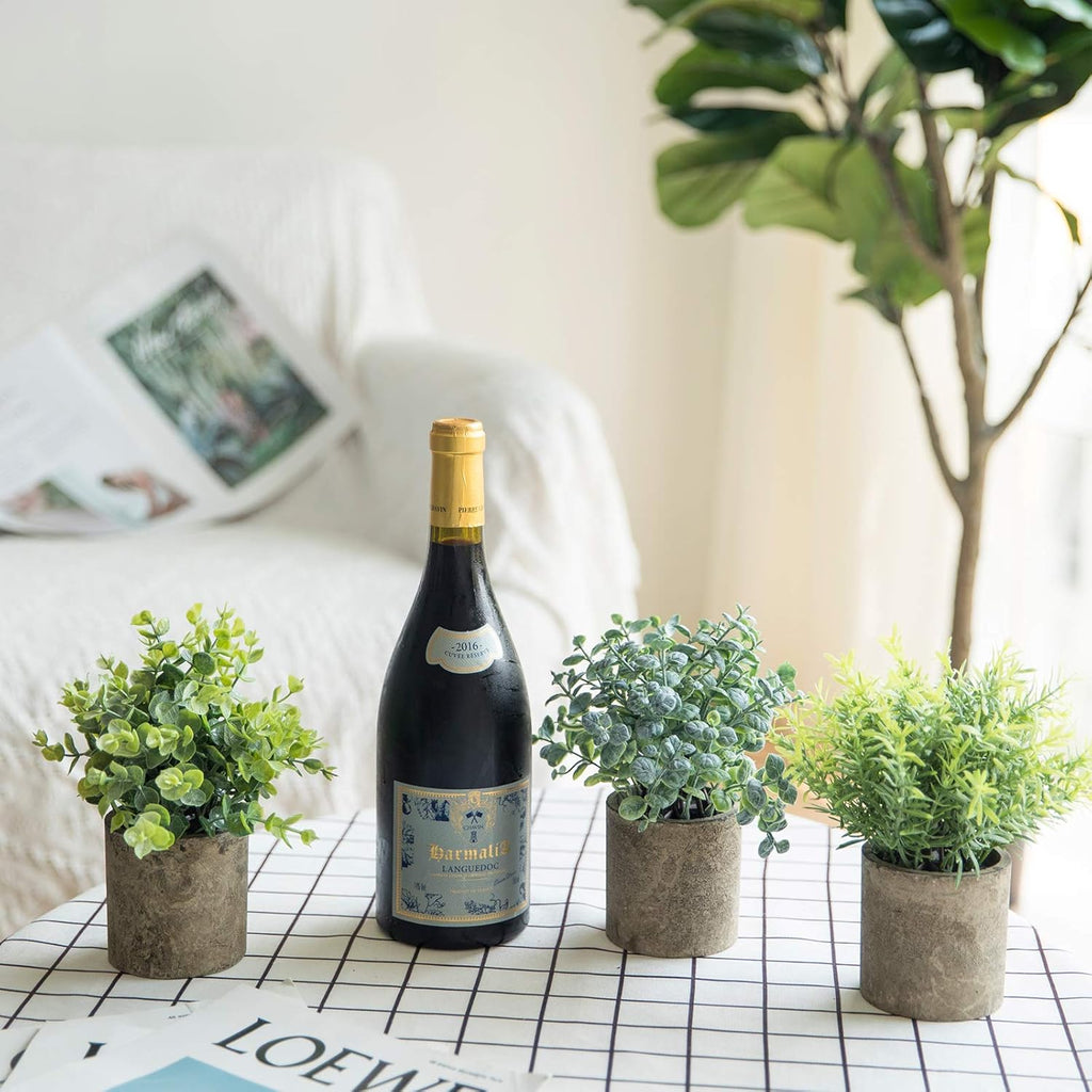 THE BLOOM TIMES Set of 3 Small Potted Artificial Plants Plastic Fake Greenery Faux Plants in Pots for Rustic Home Office Desk Farmhouse Bathroom Kitchen Indoor Decor
