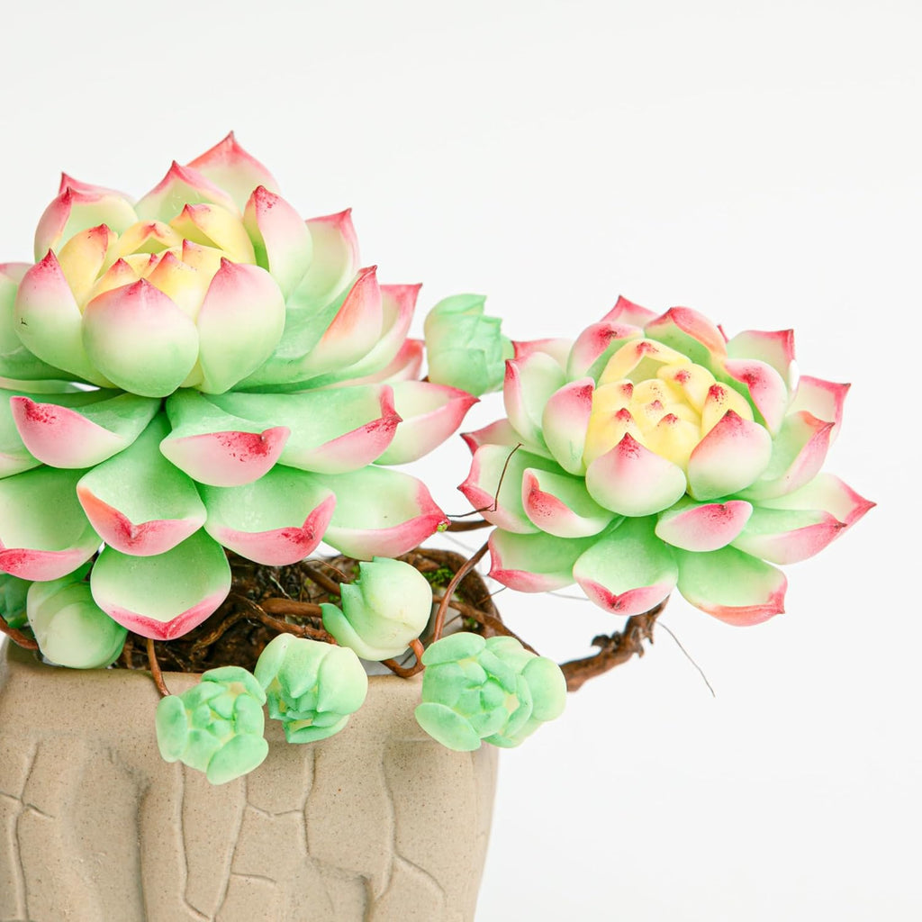 Galagaga Handcrafted Artificial Succulent Plant in Textured Ceramic Pot, Pink and Mint Green Clay Flowers, Maintenance-Free Home Decor (1, shape7)