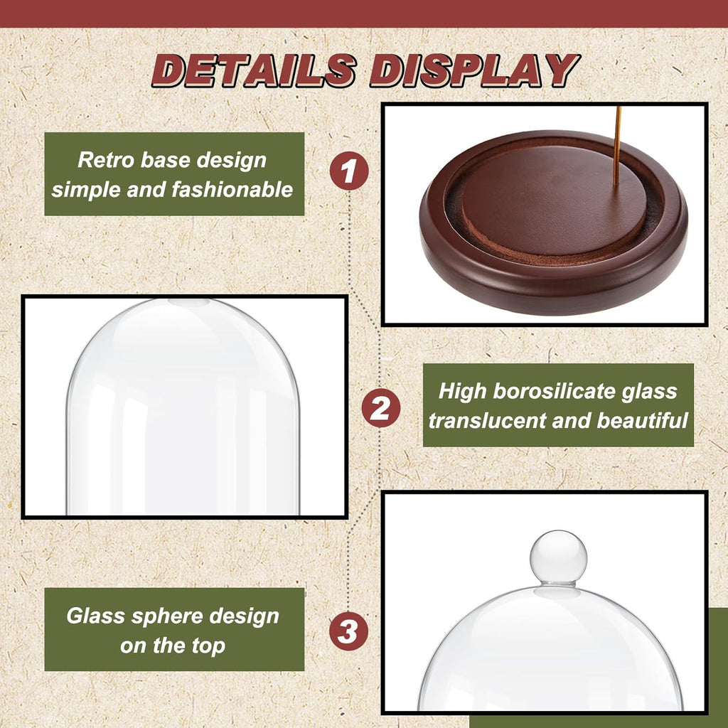 2 Pcs Pocket Watch Glass Display with Hooks Dome Cloche with Wood Base Decorative Dome Showcase for Watch Plants Medals Photos Collectibles Dark MDF Base