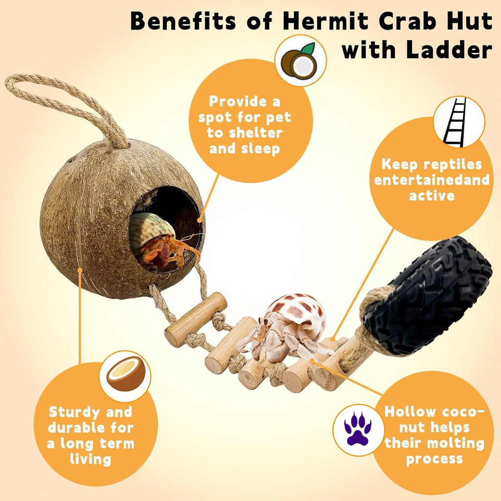Hermit Crab Coconut Shell Hideout, Leopard Gecko Hide Habitat Cave with Ladder and 2 Sea Shells, Crested Gecko Tank Accessories with Moss for Reptiles,Hermit Crab Climbing Toys,5.3",5PCS