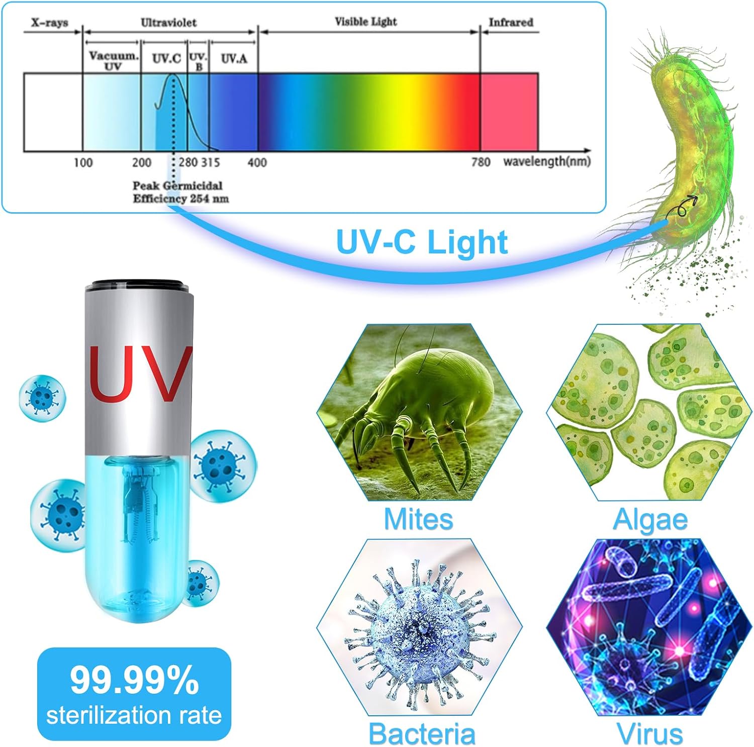 Aquarium Clean Light，3 W mini &13W Submersible Light with UV Test Card,Aquarium Water Clean Green Clear Waterproof Clean Lamp for Pond,Swimming Pool,Indoor (3W MINI)