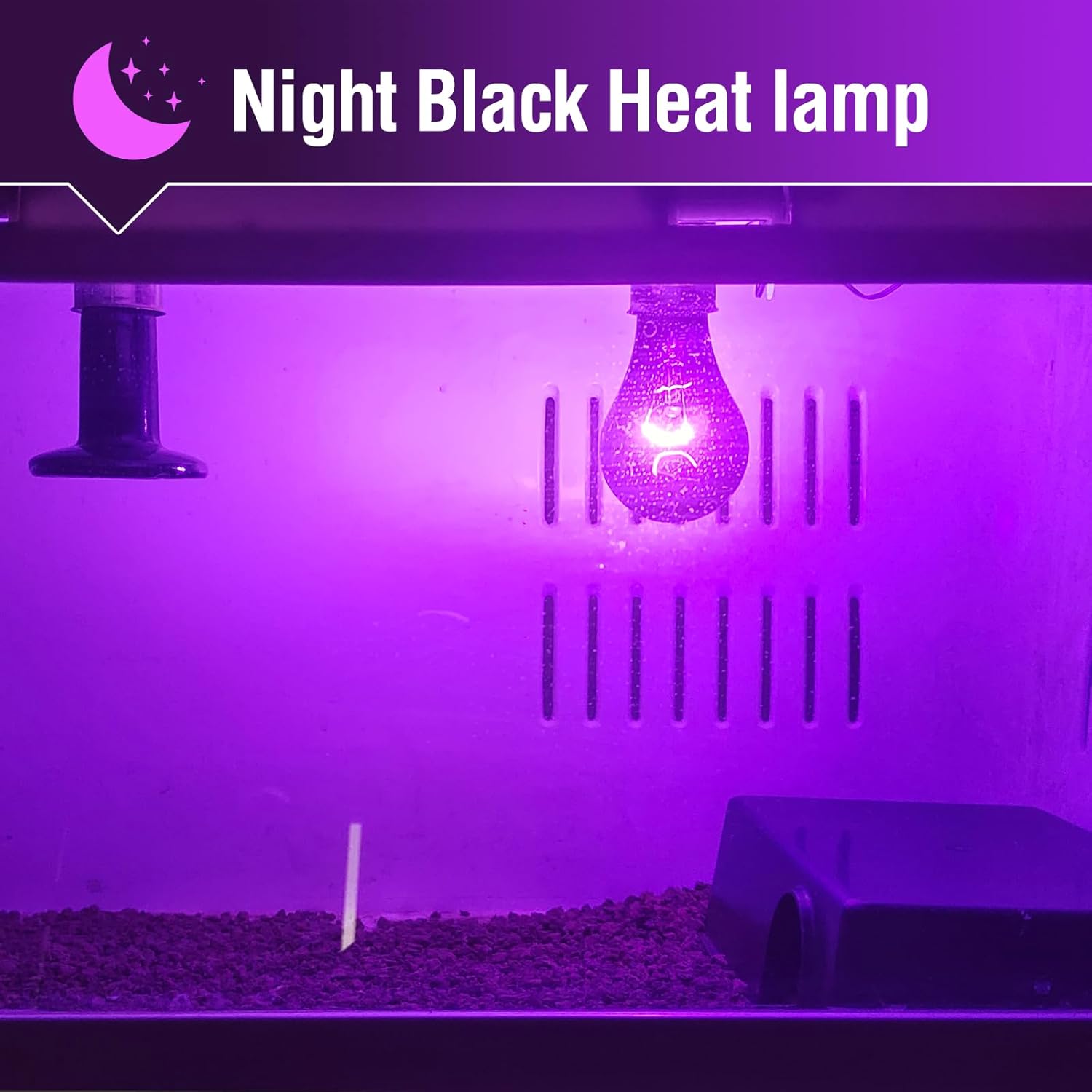 Leoterra 75W Reptile Heat Lamp Bulb 2-Pack, Night Black Moonlight Infrared Heat Lamp for Nocturnal Reptiles, Thermostat Compatible Basking Spot Light for Bearded Dragon, Turtle, Snake Tank Terrarium