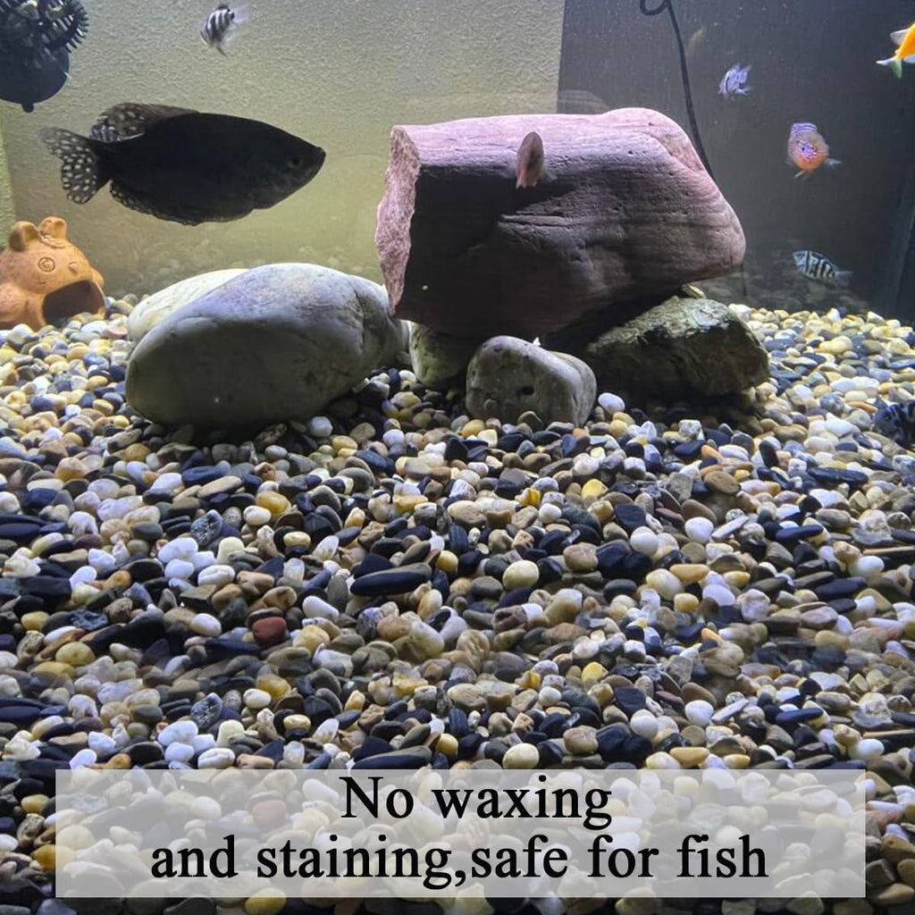 2 lbs Aquarium Gravel, 2/5 inch Pea Gravel for Fish Tank, Decorative Pebbles River Rocks for Plants Succulent Vase Indoor Water Fountains and Outdoor Landscaping