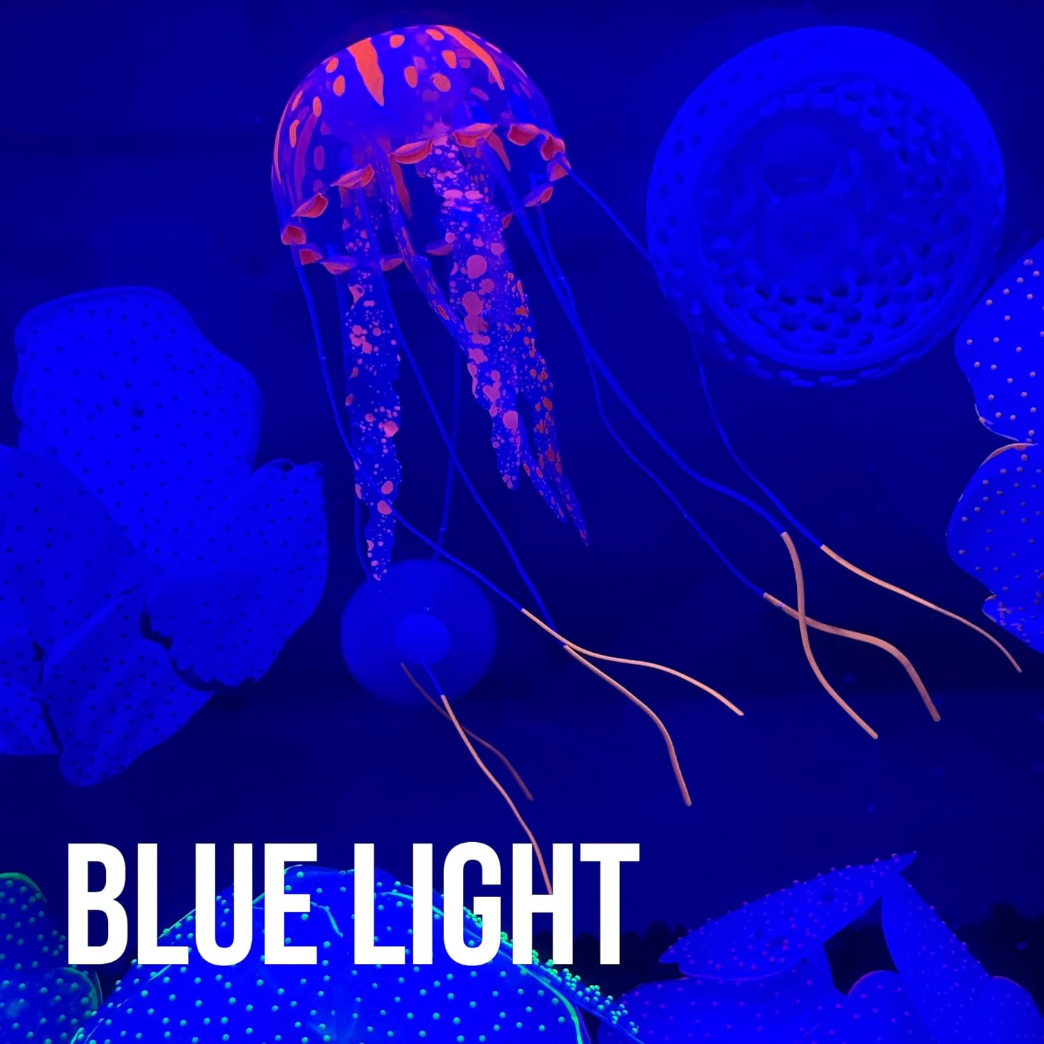 CTWPets Glowing Black Light Jellyfish Aquarium Decoration, Floating Freshwater Decor (Green)
