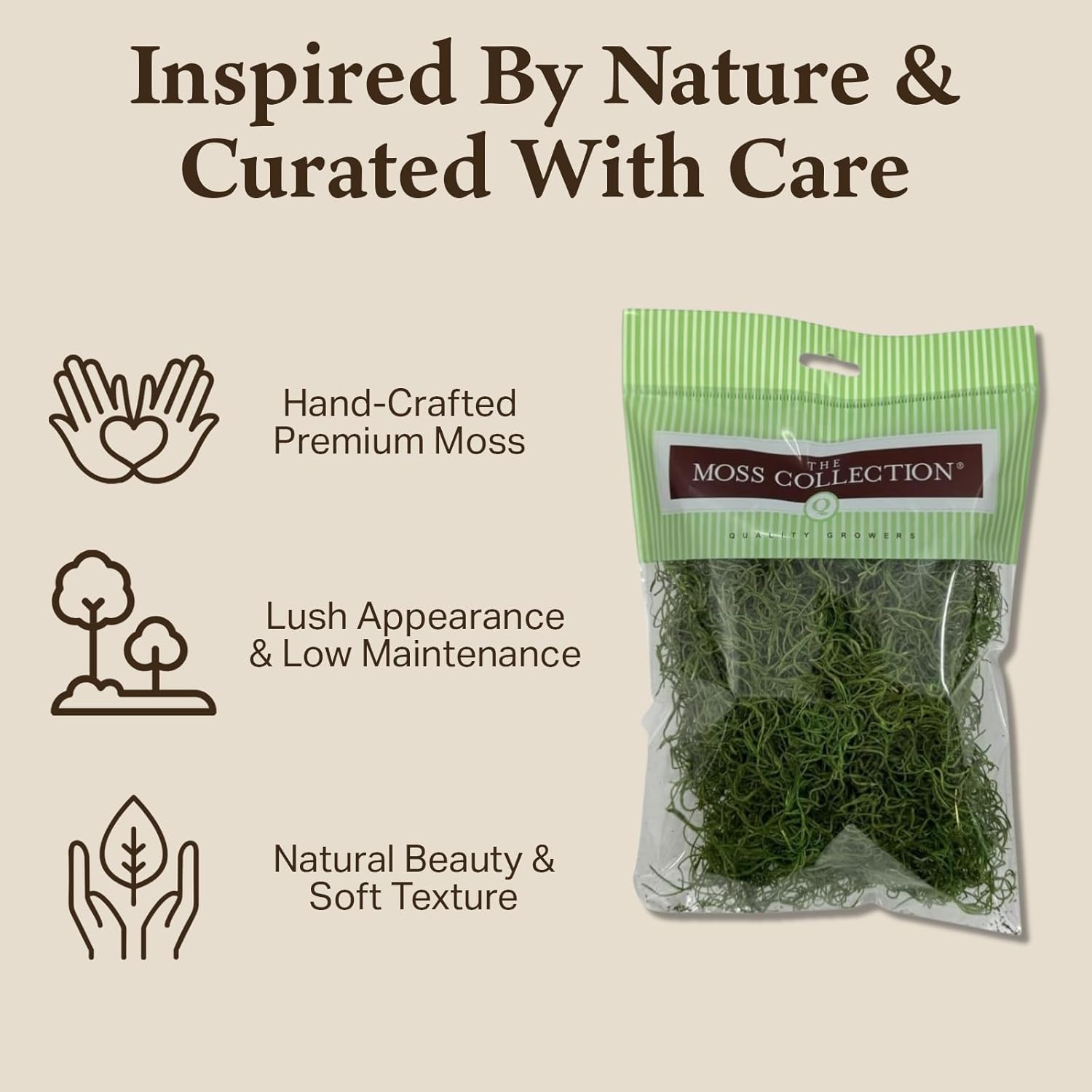 Preserved Spanish Moss - Premium Decorative Moss for Crafts, Home Décor, Art, Design & DIY Projects - Real Moss - Non-Toxic, USA-Made (Green Apple, Medium, 2-Pack)