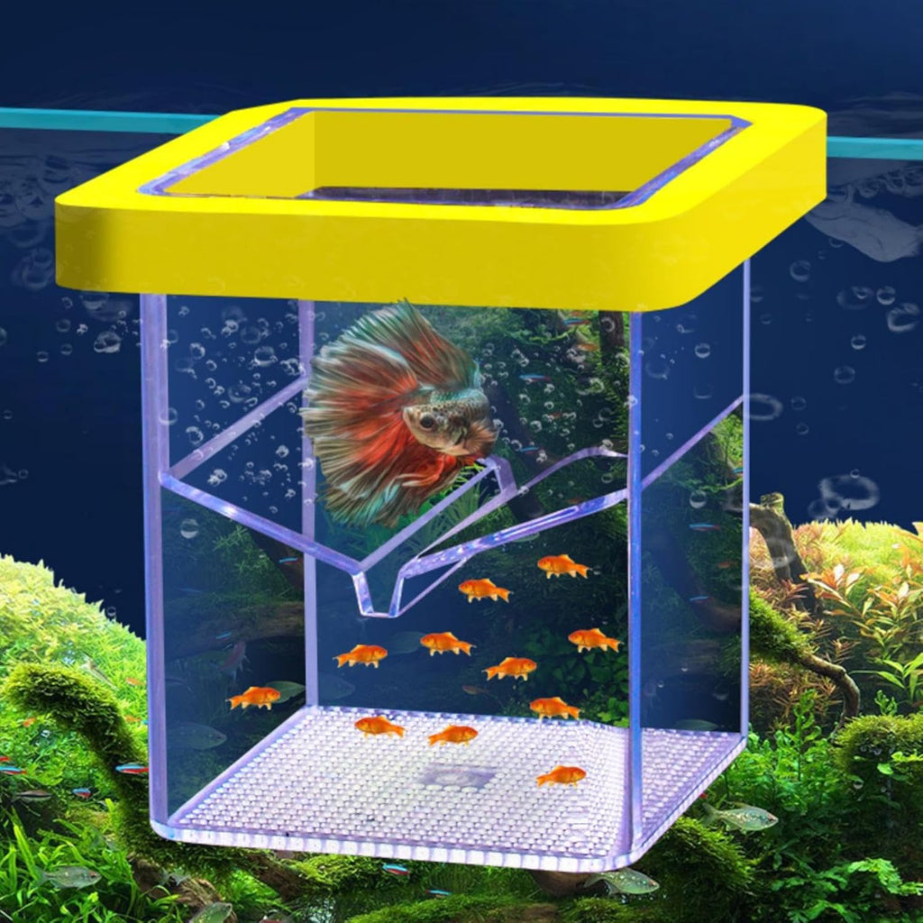 Fish Breeder Box- 11x8.6x8.6cm Suction Cup Hatching Container, Easy Install Floating Fish Isolation Breeding Box | Breeding Boxes for Aquarium, Aquatic Acclimation Hatchery Incubator for Baby Shrimp