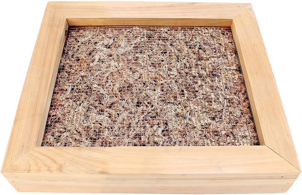 SuperMoss (22312) Sphagnum Moss Living Frame with Solid Wood Design | Succulent Wall Planter for Indoor and Outdoor Home Decor, Wall Art, Farmhouse Decor, and Living Room Wall Display, 6” x 6”