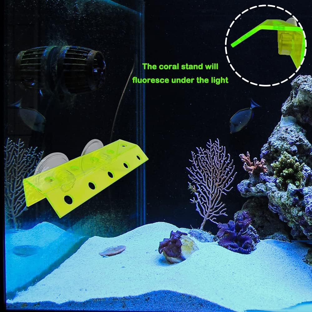 kcrygogo Fluorescent Green Coral Frag Holder Acrylic Coral Rack with Powerful Double Suction Cup Suitable for Household Fish Tanks (10 Plug Holes)