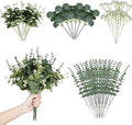 Artificial Eucalyptus Leaves Stems 120 Pcs 4 Kinds Mixed Fake Silver Dollar Eucalyptus Leaves Stem with Babysbreath Bulk Faux Leaf for DIY Bouquets Floral Arrangement Wedding Home Decor