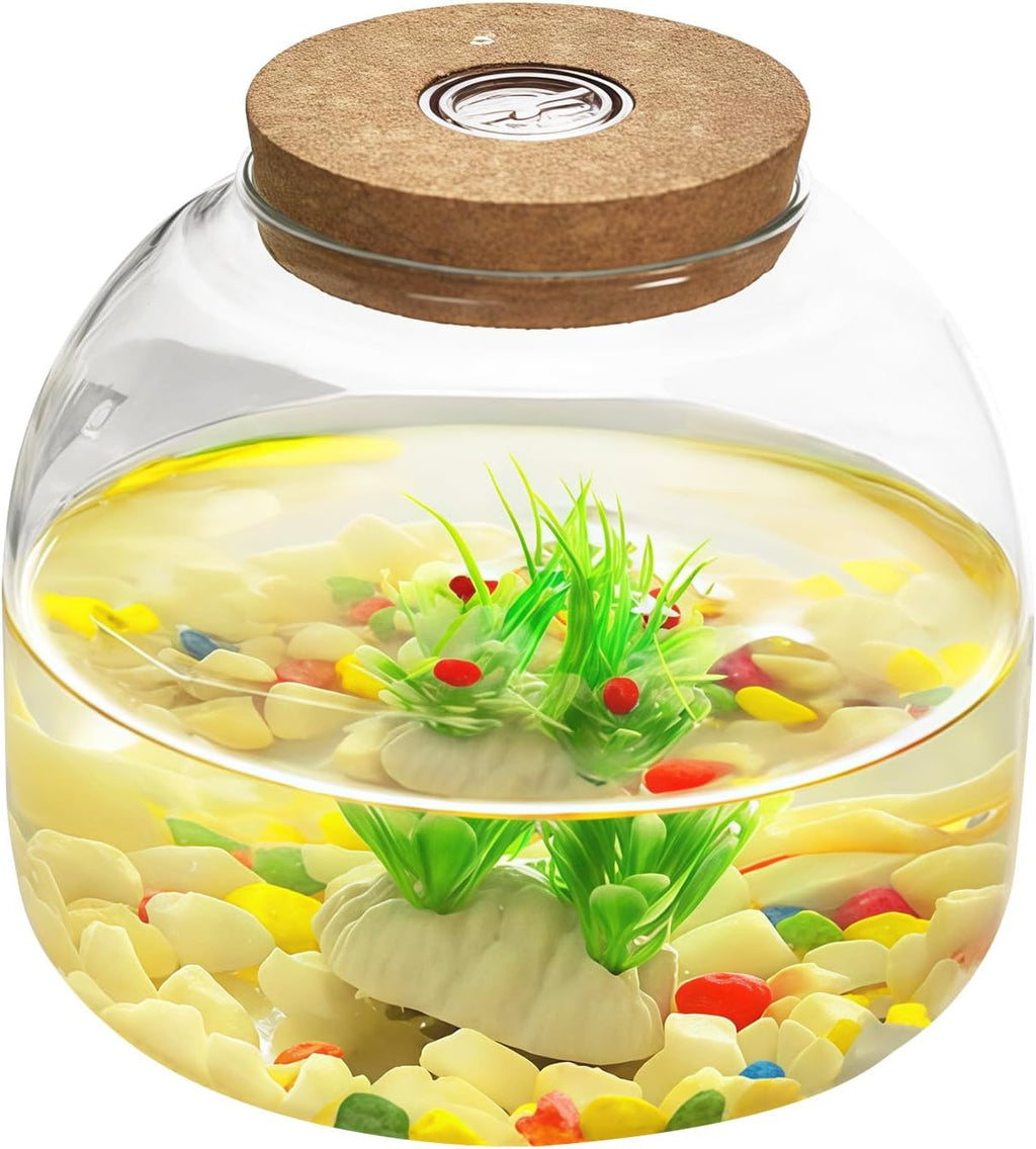 Glass Terrarium Jar with Cork Lid，Tabletop Succulent Planter Airtight Candy Cookie Jar and Hydroponic Vase for Plants, Crafts, Kitchen Storage - Home, Office Decoration (Round 5.9")