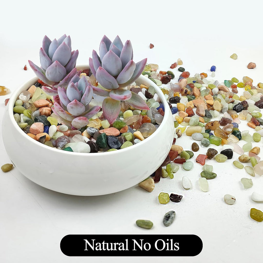 5LB Colorful Pebbles for Succulent, 3/8 Inch Natural River Rocks for Plants, Natural Decorative Polished Pebbles for Cactus,Vases, Planters,Outdoor Gardening and Indoor Plants