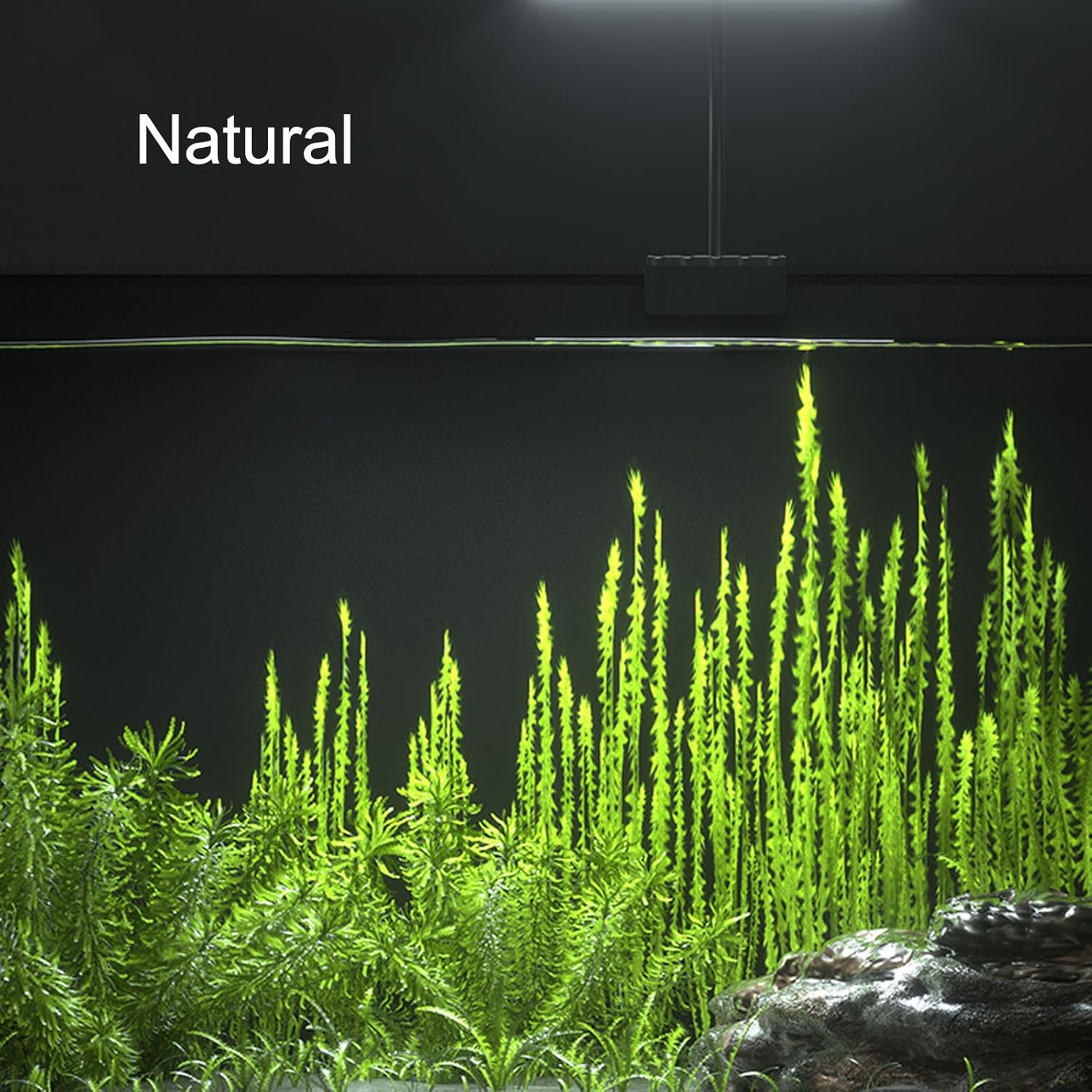 Carefree Fish Aquarium LED Light USB 5V RGBW 5730 Timmer 5~20Gal Fish Tank Clip Light 10 Brightness Levels 13W with USB Port (Include Power Adapter)