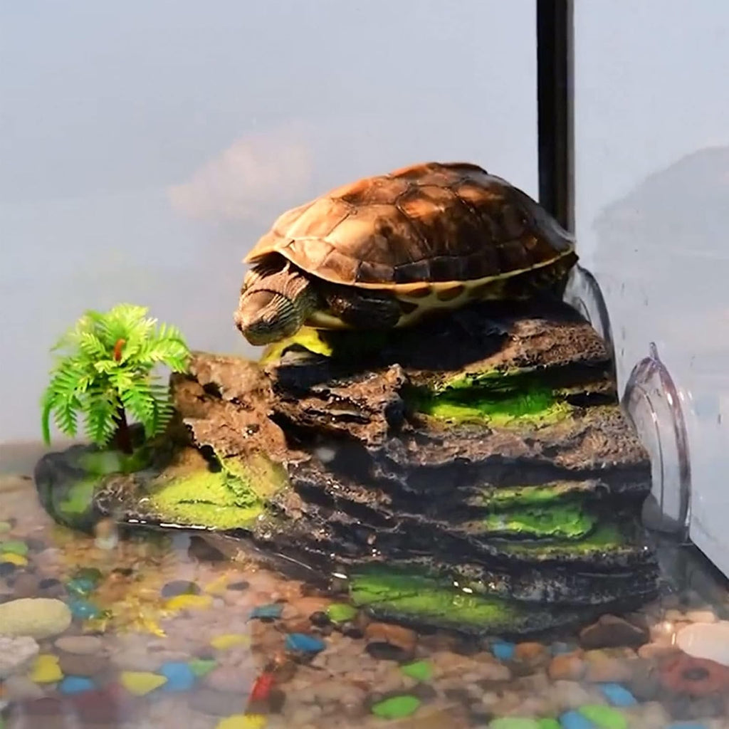 kathson Turtle Basking Platform with Suction Cups Tortoise Climbing Step Ledge Aquarium Ornament Rock Turtle Floating Dock Resting Basking Terrace for Amphibians Reptile (Gray)