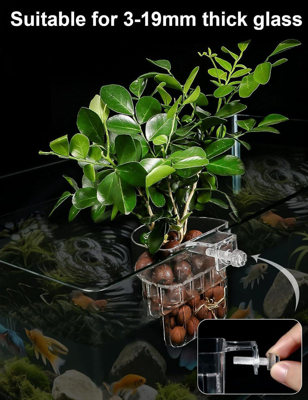 2 Pack Clear Aquarium Plant Holder Top Hanging Fish Tank Plant Holders Fits up to 0.8in Tank Edges, Aquarium Décor