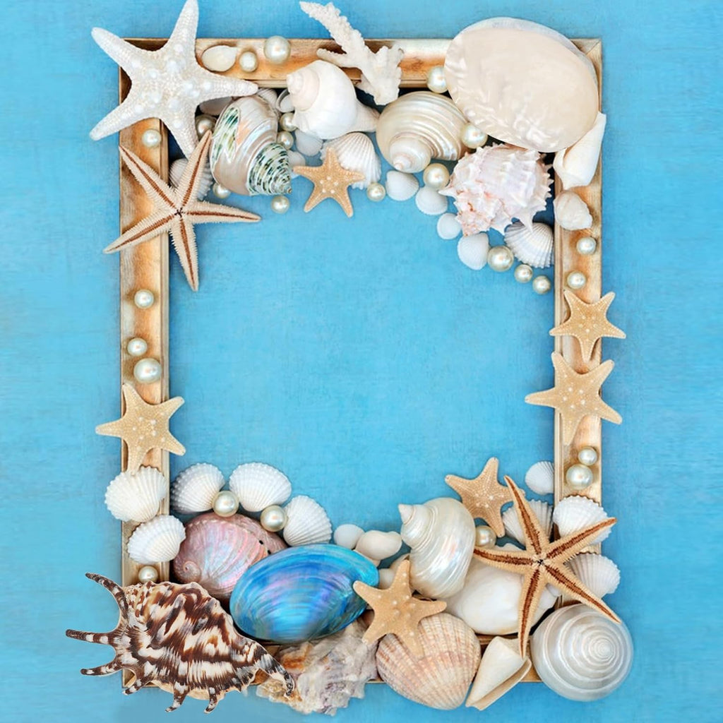 24 PCS Large Sea Shells Mixed Ocean Seashells Starfish Conch Various Sizes Natural Seashells for Fish Tank Beach Themed Party Home Bathroom Wedding Decorations DIY Crafts