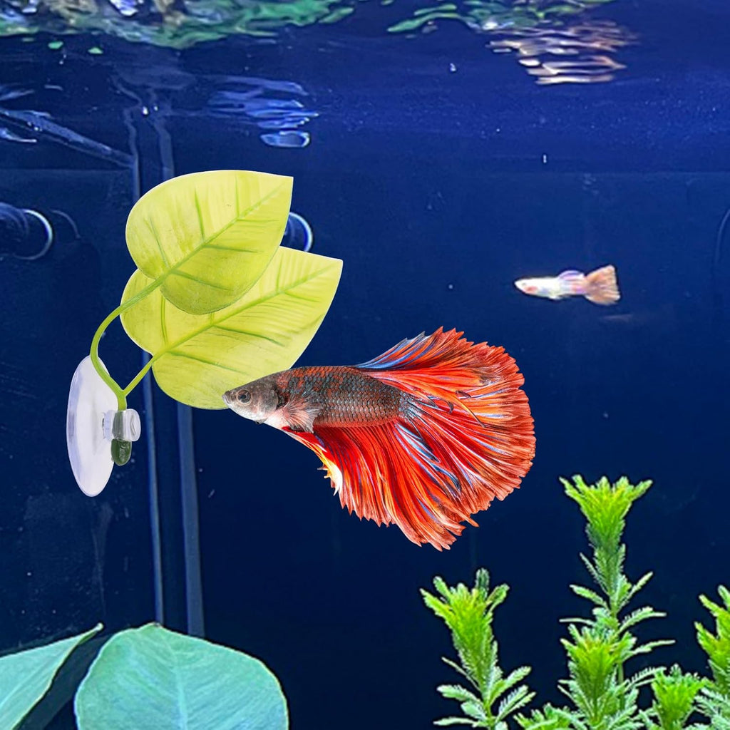 3 Pcs Betta Fish Hammock, Betta Fish Tunnel with Suction Cups and Plastic Plants Leaf for Aquarium Tank