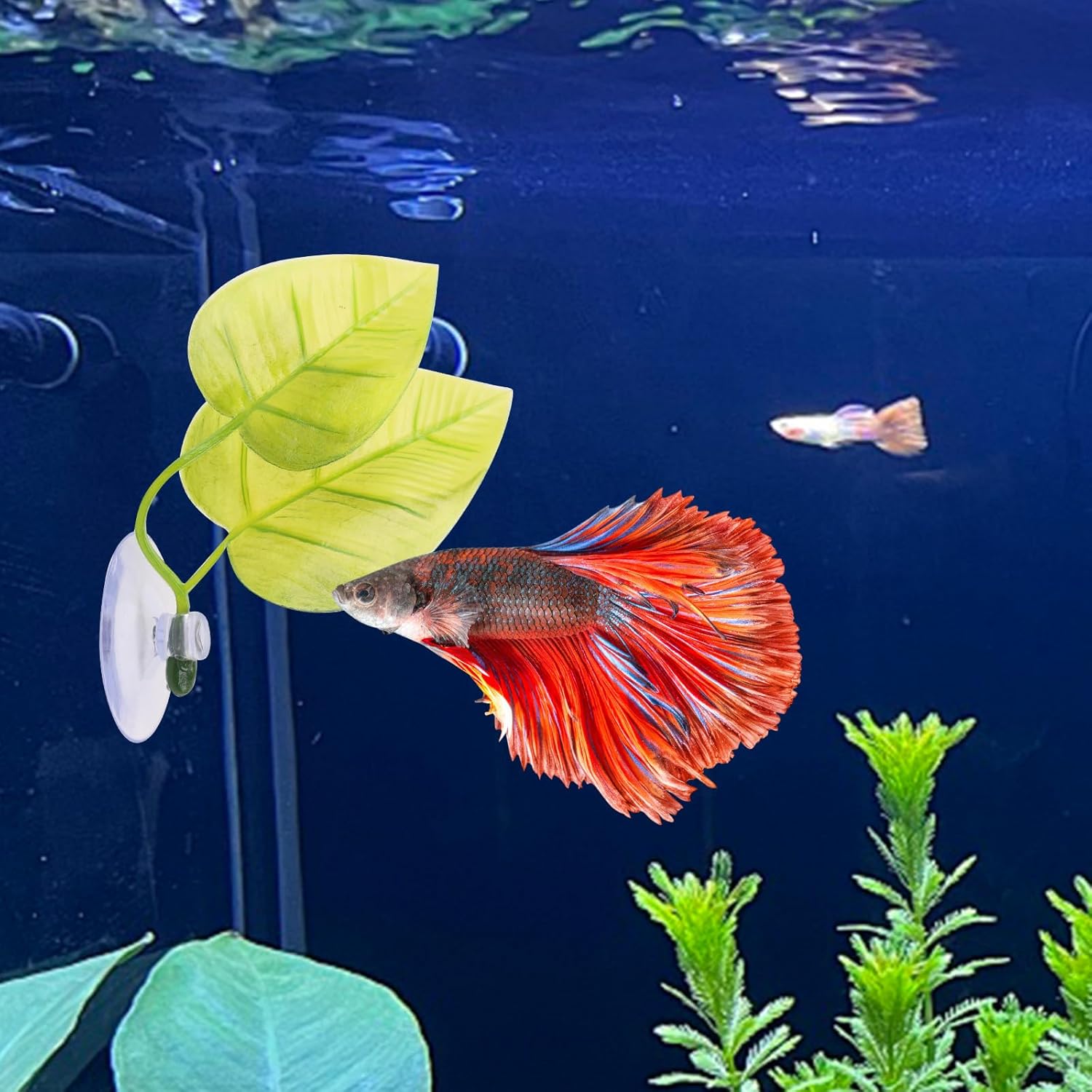 3 Pcs Betta Fish Hammock, Betta Fish Tunnel with Suction Cups and Plastic Plants Leaf for Aquarium Tank