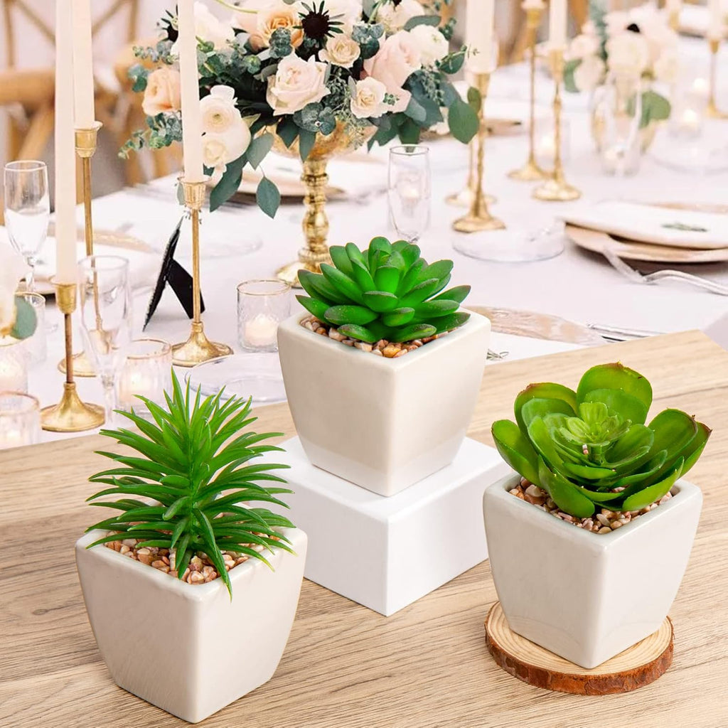 Briful 3PCS Fake Succulents for Farmhouse Tiered Tray Decor Smaller Artificial Potted Plants Faux Plants Indoor Bookshelf Decor House Plants Tabletop Decor in White Ceramic Pot