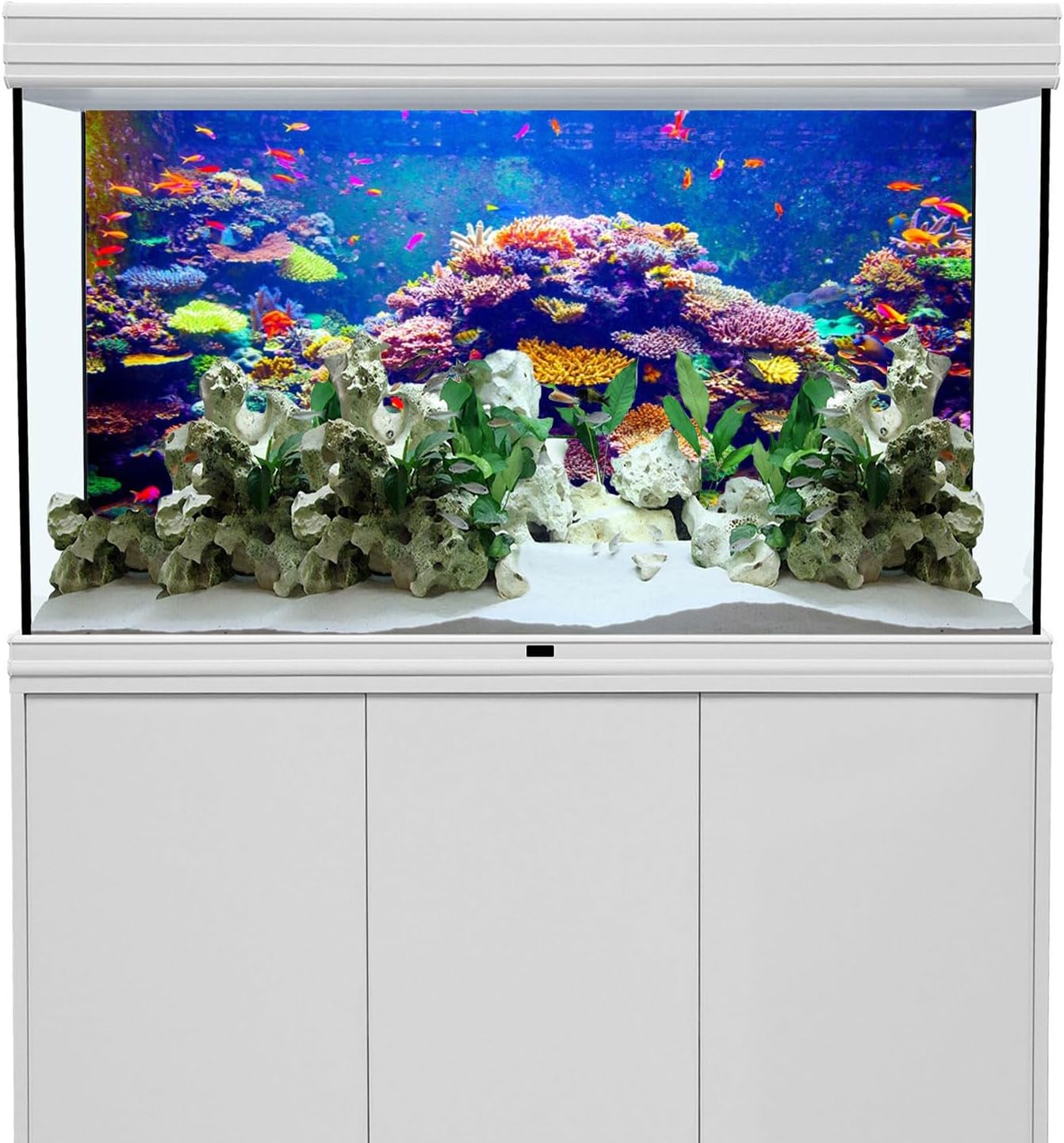 AWERT Undersea Theme Aquarium Background 36x24 inches Durable Polyester Background Colorful Coral Tropical Fish Underwater World Fish Tank Background
