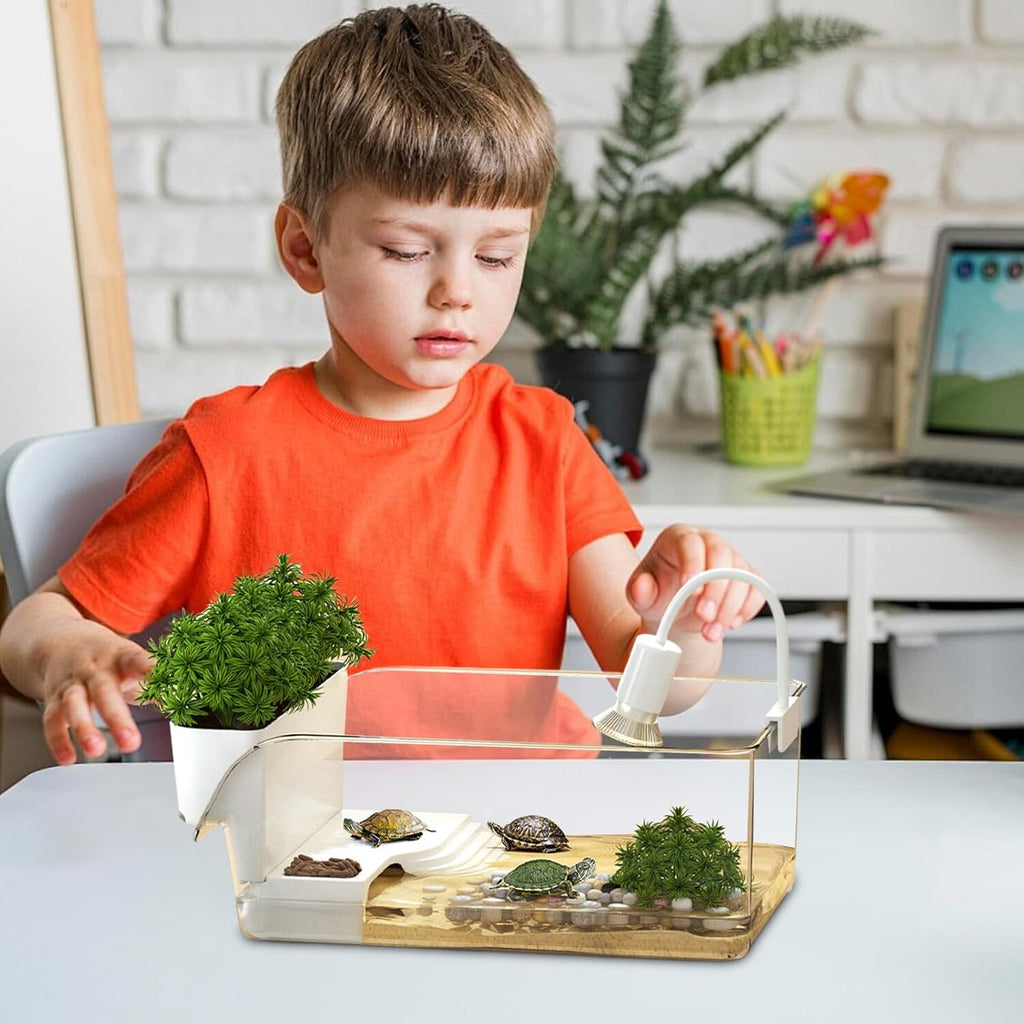 Clear Turtle Habitat - Mini Crab Feeding Area, Decorative Basking Platforms, Small Tortoise Terrapin Enclosure | Educational Reptile Terrarium Setup for Pet Adoption Preparation Eco Friendly Aquarium