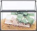 NCYP Glass Cards Box with Lid for Wedding, Birthday, Party Reception - 10.2x5.9x8.2 Inches House Shape Card Holder, Home Decor, Large Succulents Terrarium Planter, Black (Glass Box Only)