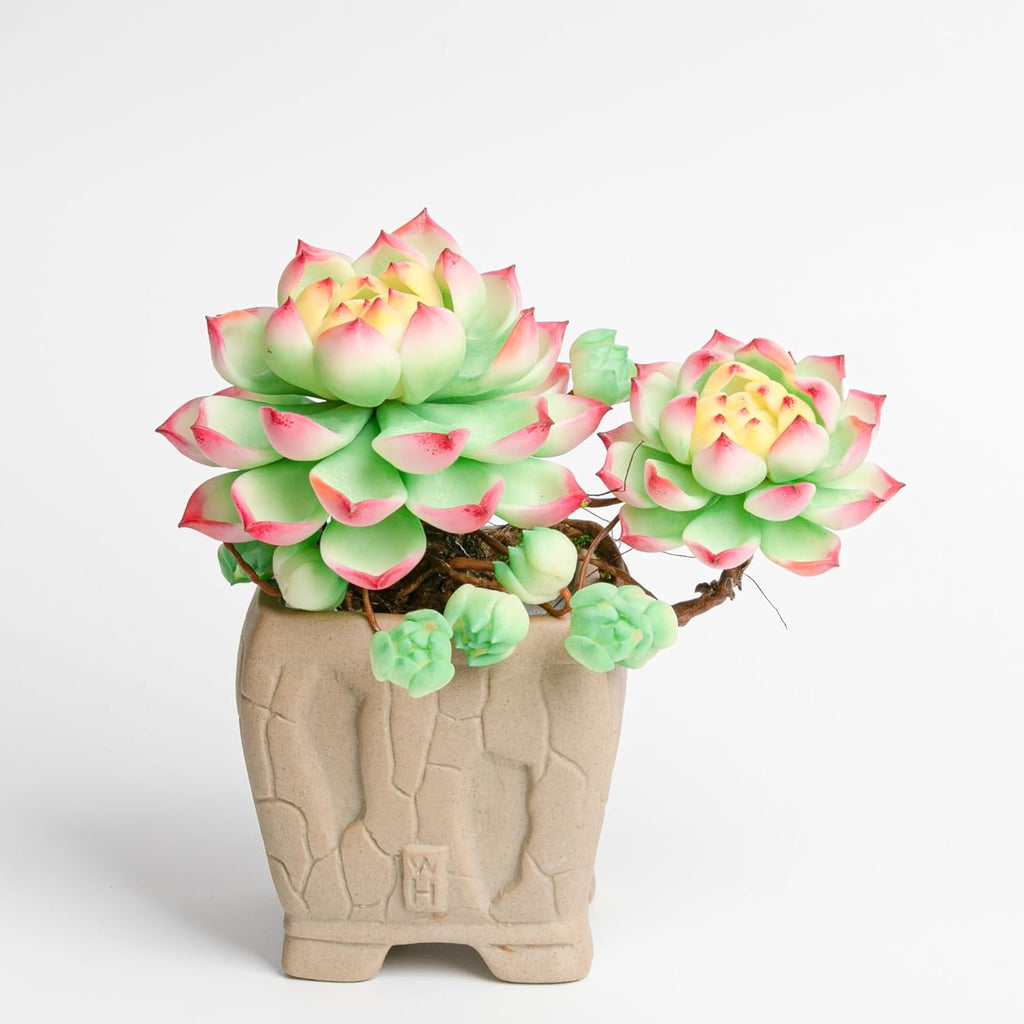 Galagaga Handcrafted Artificial Succulent Plant in Textured Ceramic Pot, Pink and Mint Green Clay Flowers, Maintenance-Free Home Decor (1, shape7)